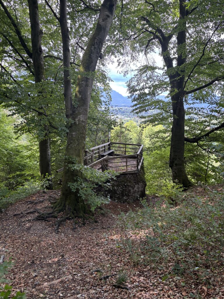 A small wooden observation deck overlooking Salzburg city nestled within the Woodlands of Aigner.