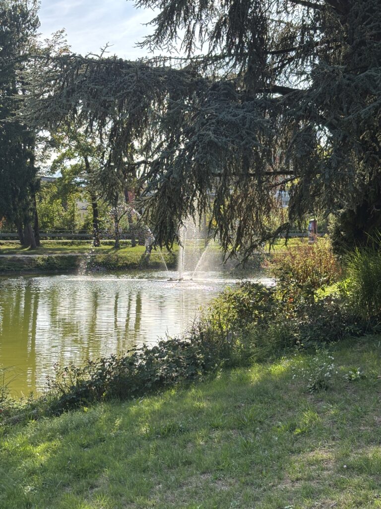 A shaded spot underneath the willow trees enjoying the view of Volksgarten's pond and fountain on a hot day.