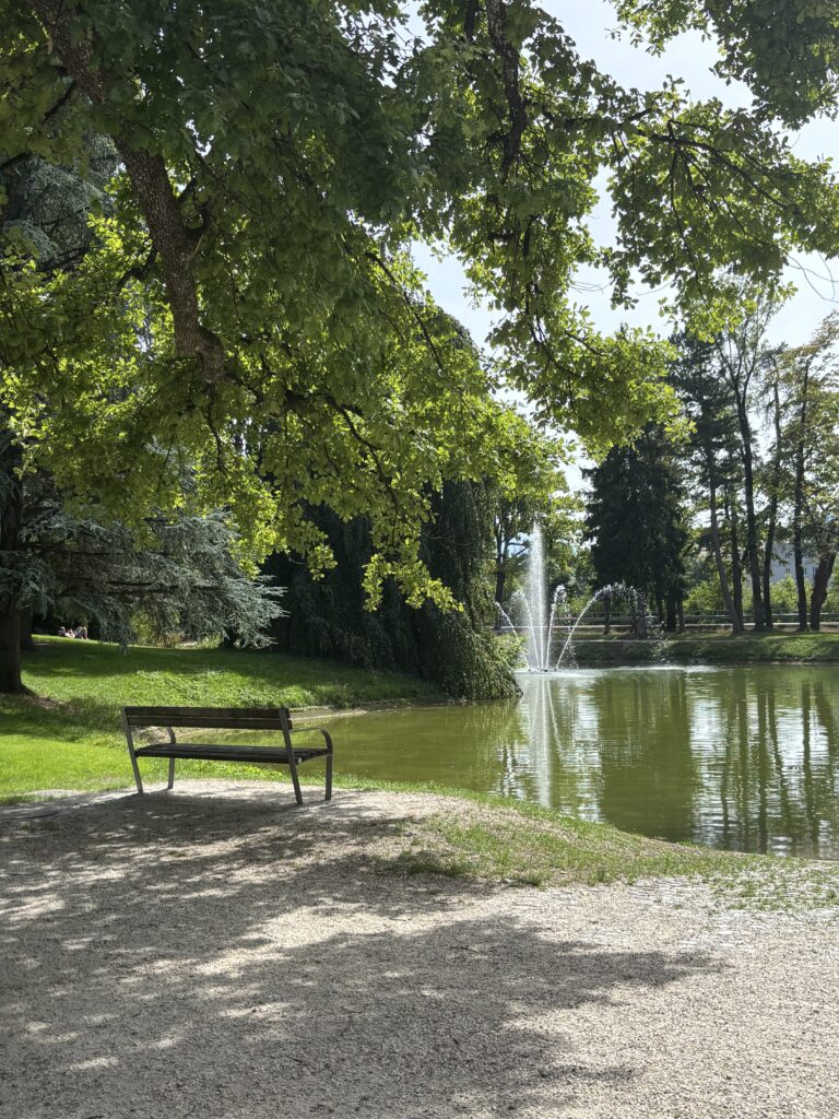Looking towards a bench on the edge of a green pond with a fountain in the distance. The scene is surrounded by trees and lush green grass. The bench is in the shade - a great spot on a hot summer's day.